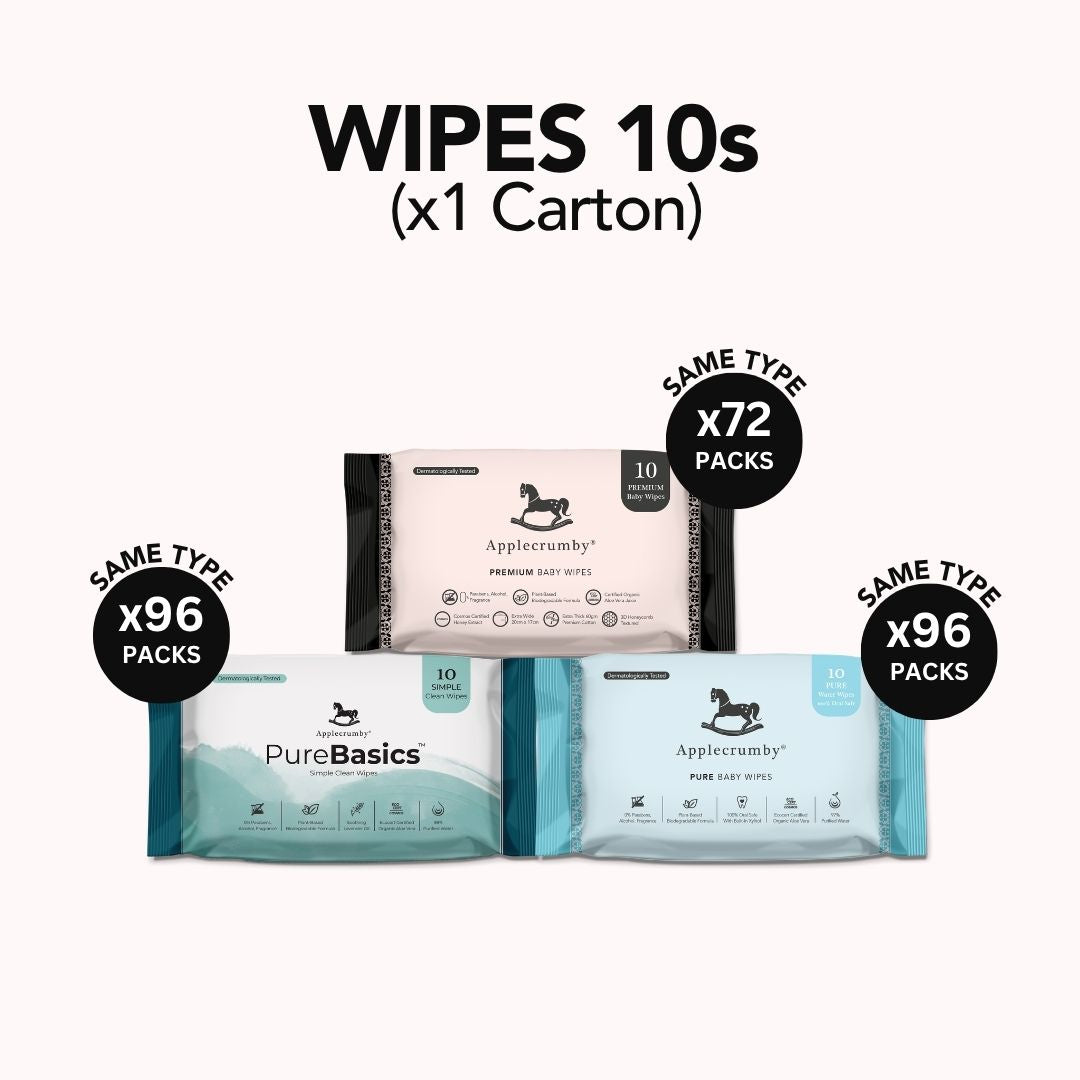 Wipes 10s Bundle (1 Carton)