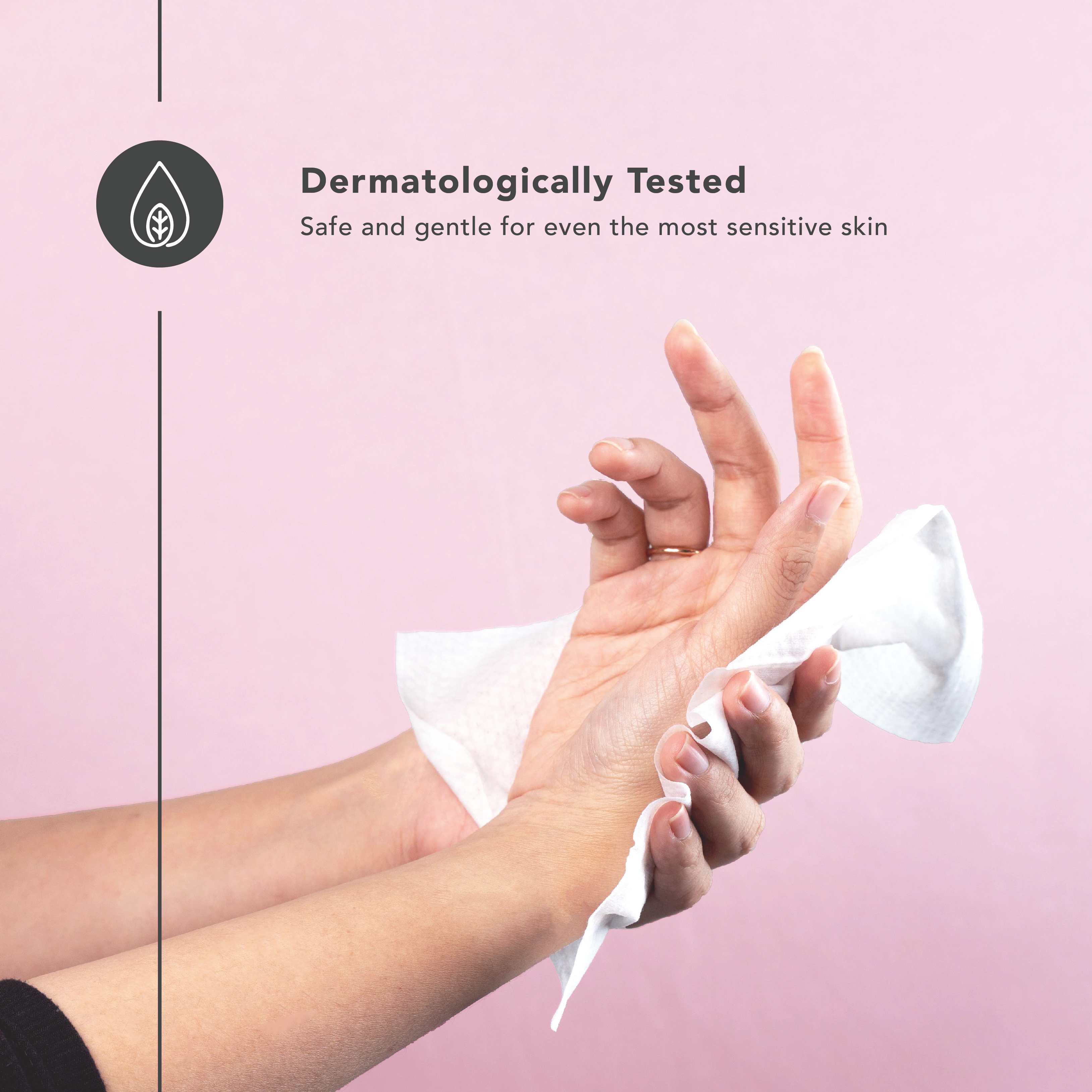 PureBasics Wipes 80s (3 Packs)