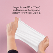 Premium Honey Wipes 80s (12 Packs)