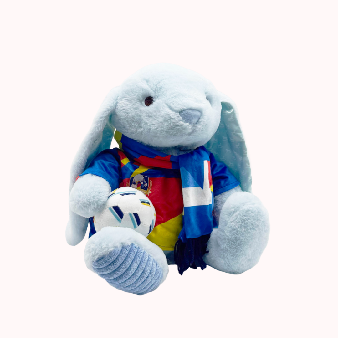 Football Plushie - Striker Roger